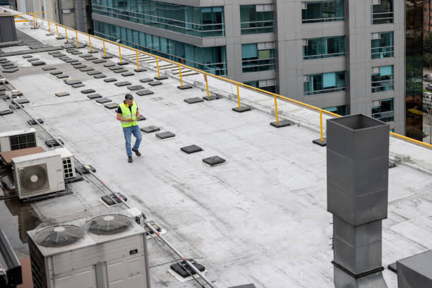 Best Skylight Installation and Repair  in Lake Bryan, TX